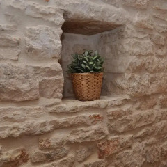 Отель Casa vacanze Piazzetta XI febbraio Альберобелло спа