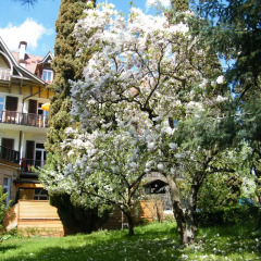 Hotel Angelica Меран фото 3