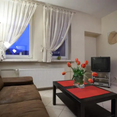 Отель Apartamenty U Młodych Закопане комната для гостей фото 2