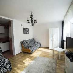 Отель Zebra Old Town Польша, Варшава - отзывы, цены и фото номеров - забронировать отель Zebra Old Town онлайн комната для гостей фото 5