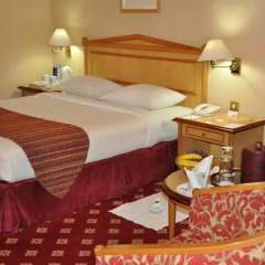 Grand Continental Flamingo Hotel 3* Стандартный номер фото 3