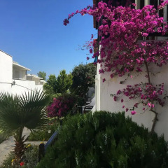 Salinas Beach Hotel фото 2