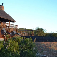 Отель Harmony Game Lodge Южная Африка, Аддо - отзывы, цены и фото номеров - забронировать отель Harmony Game Lodge онлайн фото 7