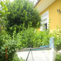 Отель B&B Valentino's Фонтане-Бьянке фото 7