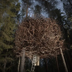 Tree Hotel 5* Стандартный номер с различными типами кроватей фото 12