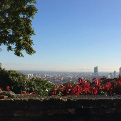 Отель Le Jardin de Beauvoir Франция, Лион - отзывы, цены и фото номеров - забронировать отель Le Jardin de Beauvoir онлайн фото 5