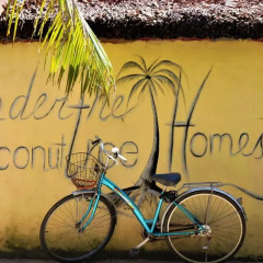 Отель Under the coconut tree спортивное сооружение