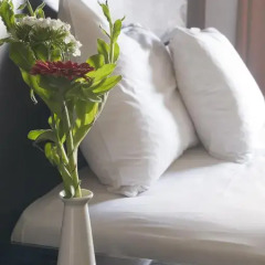 Areos Hotel 4* Room с различными типами кроватей фото 4
