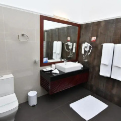 Hotel Tree of Life 4* Номер Делюкс с различными типами кроватей фото 3