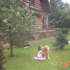 Отель Pokoje Goscinne Na Stromej Закопане фото 13