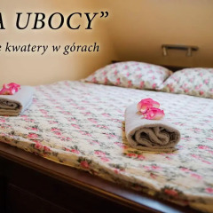 Отель Apartamenty i Pokoje w Willi na Ubocy Студия Делюкс фото 3