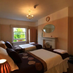 Отель Primrose Guest House 3* Стандартный номер с 2 отдельными кроватями
