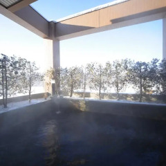 Отель Japanese Auberge Plaza Ryokufu Natural Hot Spring балкон