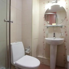 Гостиница Красноярск 3* Стандартный номер с различными типами кроватей фото 21
