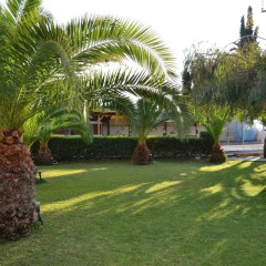 Отель Regos Resort Hotel Греция, Ситония - отзывы, цены и фото номеров - забронировать отель Regos Resort Hotel онлайн фото 6