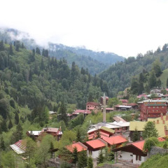 Ayder Hasimoglu Hotel 3* Вилла Делюкс фото 7