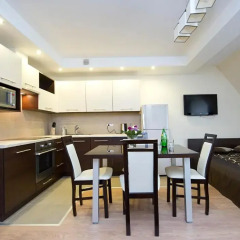 Отель Apartamenty Viva Tatry Польша, Закопане - отзывы, цены и фото номеров - забронировать отель Apartamenty Viva Tatry онлайн в номере фото 2