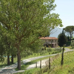Отель Fontemorsi Agriturismo Монтескудаио приотельная территория