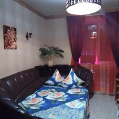 Mini-hotel Mango Стандартный номер фото 7