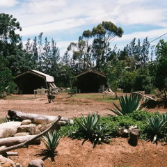 Отель Addo African Home фото 13