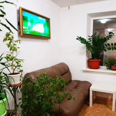 Гостиница Hostel Uyt In Kursk в Курске отзывы, цены и фото номеров - забронировать гостиницу Hostel Uyt In Kursk онлайн Курск интерьер отеля фото 3