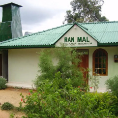 Отель Ranmal Tea Plantation Bungalow 2* Стандартный номер с различными типами кроватей фото 4