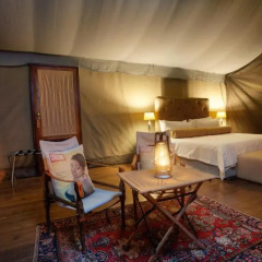 Отель Camp Figtree 4* Улучшенный люкс с различными типами кроватей фото 2