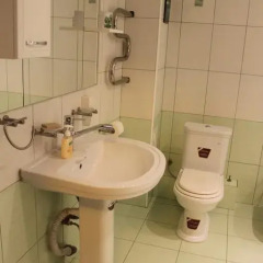 Гостиница na Maksima Gor'kogo в Тюмени отзывы, цены и фото номеров - забронировать гостиницу na Maksima Gor'kogo онлайн Тюмень ванная фото 2