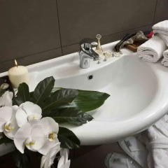 Отель Alisei Palace 4* Стандартный номер