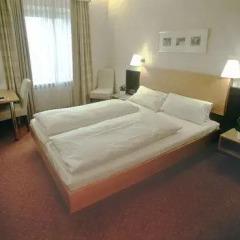 Hotel Jedermann 2* Стандартный номер с двуспальной кроватью фото 9