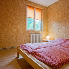 Гостиница Home Dlya Tebya Номер категории Эконом с различными типами кроватей фото 4