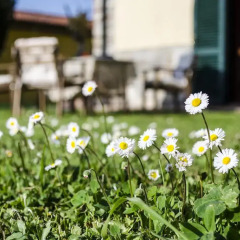 Отель Il Bosco Agriturismo Кастаньето-Кардуччи фото 3