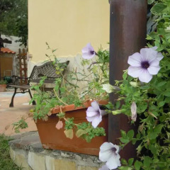 Отель Buenavistasurfmed Итри фото 10