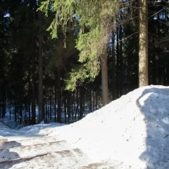 Отель Домик Охотника Токсово фото 7