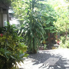 Отель Mui Ne Garden Стандартный номер с различными типами кроватей фото 5