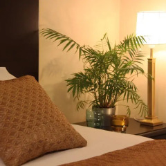 Гостиница Business Apartments Украина, Днепр - отзывы, цены и фото номеров - забронировать гостиницу Business Apartments онлайн спа фото 2