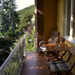Отель Vila Daniela балкон