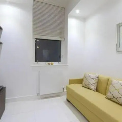 Отель Albany House Luxury Serviced Apartments Великобритания, Лондон - отзывы, цены и фото номеров - забронировать отель Albany House Luxury Serviced Apartments онлайн комната для гостей фото 2