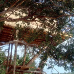 Отель Ataman Resort Камбоджа, Ко-Уэн - отзывы, цены и фото номеров - забронировать отель Ataman Resort онлайн фото 11