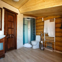 Dobrynya Hotel 3* Номер Делюкс разные типы кроватей фото 2