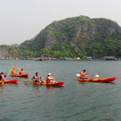 Отель Majestic Halong Cruise 3* Номер Делюкс с различными типами кроватей фото 10