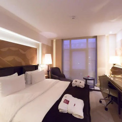 Гостиница Crowne Plaza St.Petersburg-Ligovsky (Краун Плаза Санкт-Петербург Лиговский) фото 12