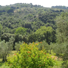 Отель Agriturismo Le Catre Апартаменты фото 4