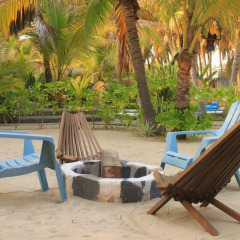 Отель Bungalows Tree Tops Мексика, Коакоюл - отзывы, цены и фото номеров - забронировать отель Bungalows Tree Tops онлайн фото 5