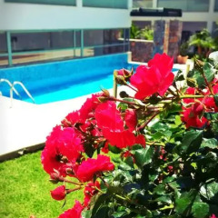 Angela Suites Boutique Hotel фото 9