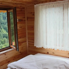 Yaylaci Hotel Стандартный номер с различными типами кроватей фото 7