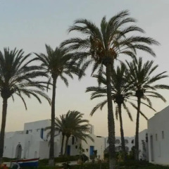 Отель Jerba Sun Club пляж фото 2