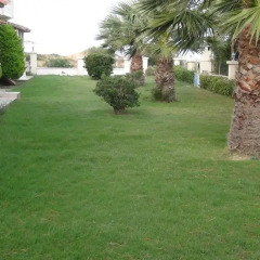 Отель Villa Banu Чешме фото 5