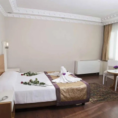 Baron Hotel 4* Стандартный номер с различными типами кроватей фото 2
