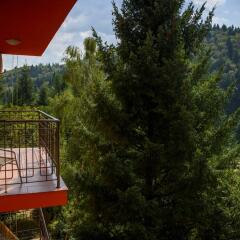 Hotel Kiparis Alfa 3* Стандартный номер с двуспальной кроватью фото 8